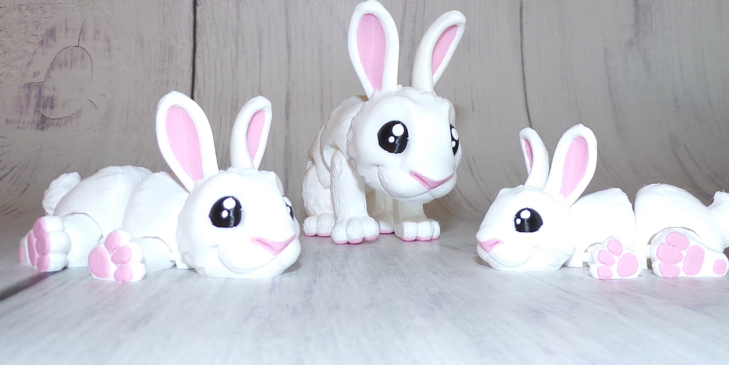 Bunny 3D Printed Articulated Figurine - Wonderland 3D Printing