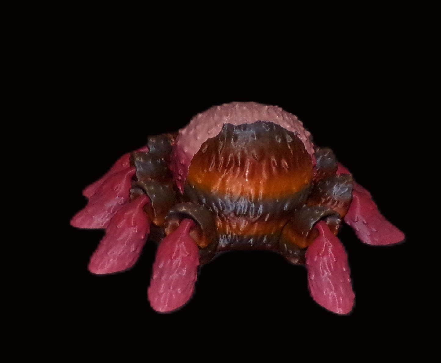 Spider 3D Printed Articulated Figurine - Wonderland 3D Printing