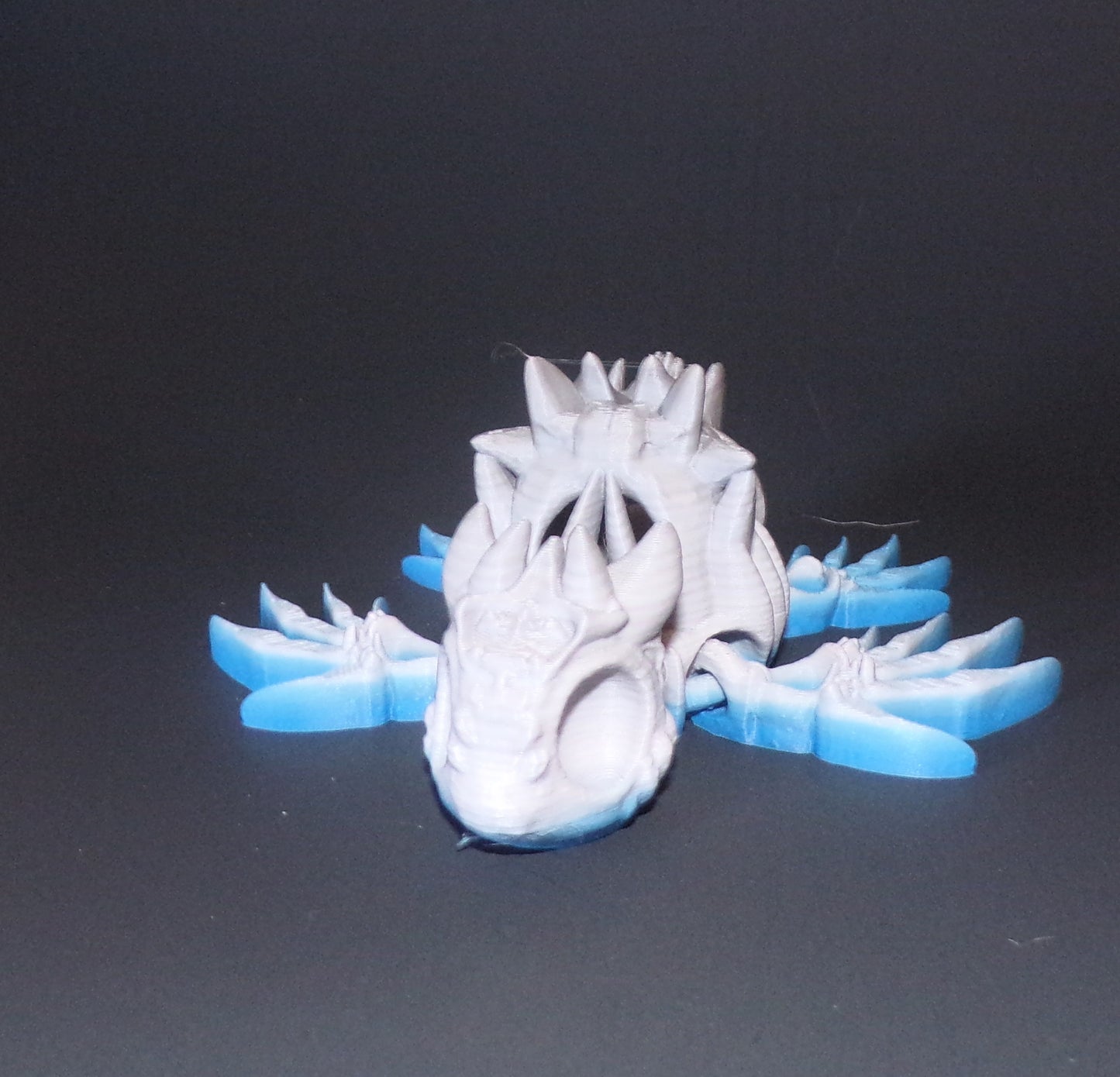 Hollow Turtle, 3D Printed Turtle - Wonderland 3D Printing