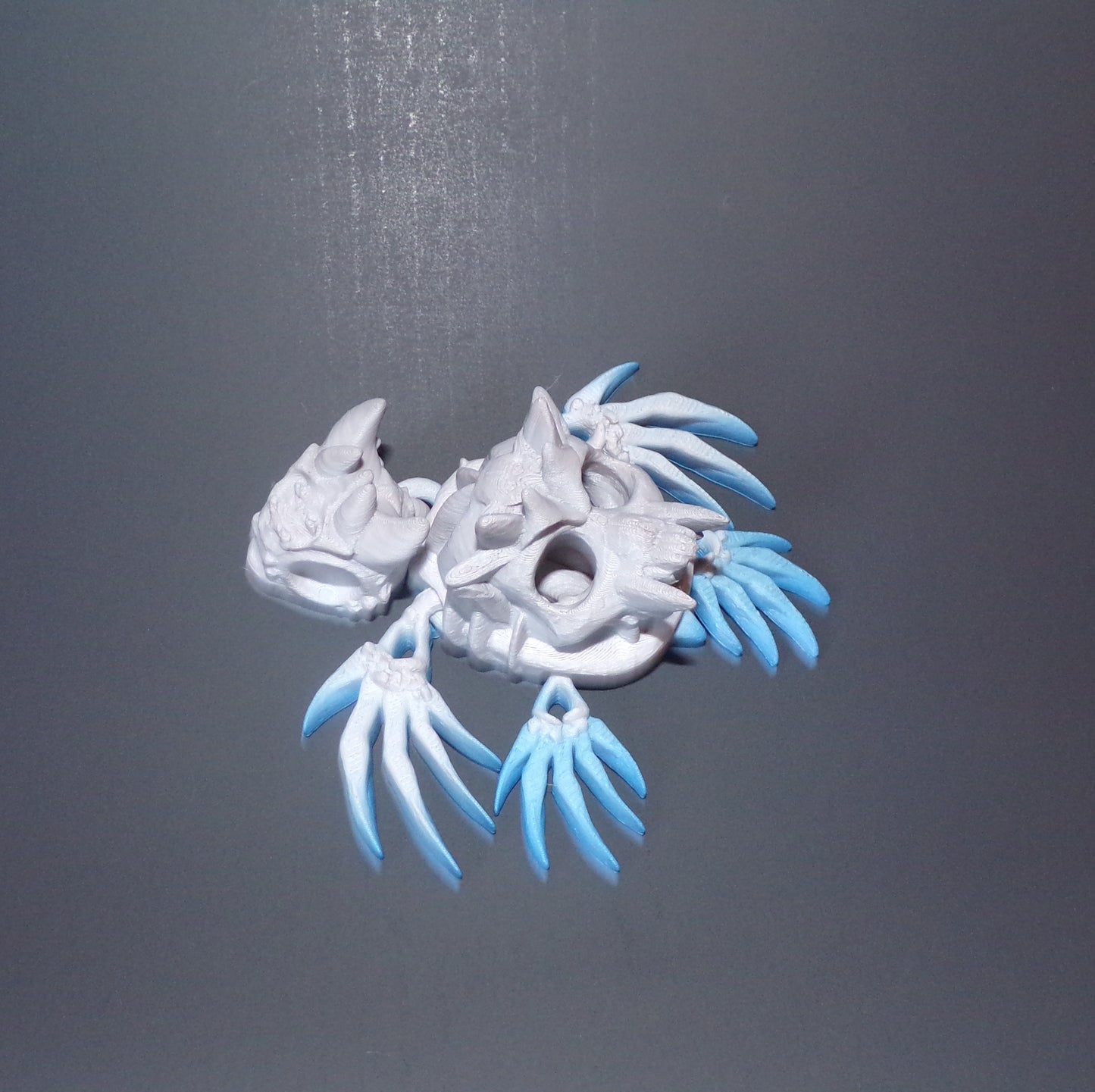 Hollow Turtle, 3D Printed Turtle - Wonderland 3D Printing