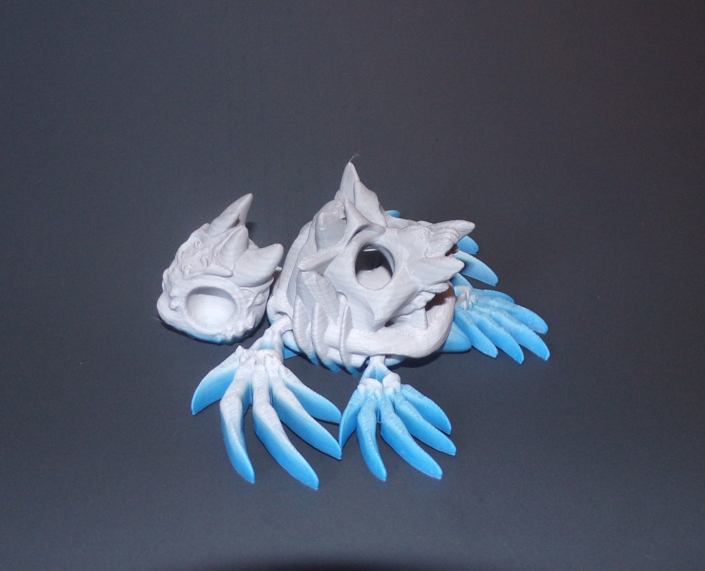 Hollow Turtle, 3D Printed Turtle - Wonderland 3D Printing