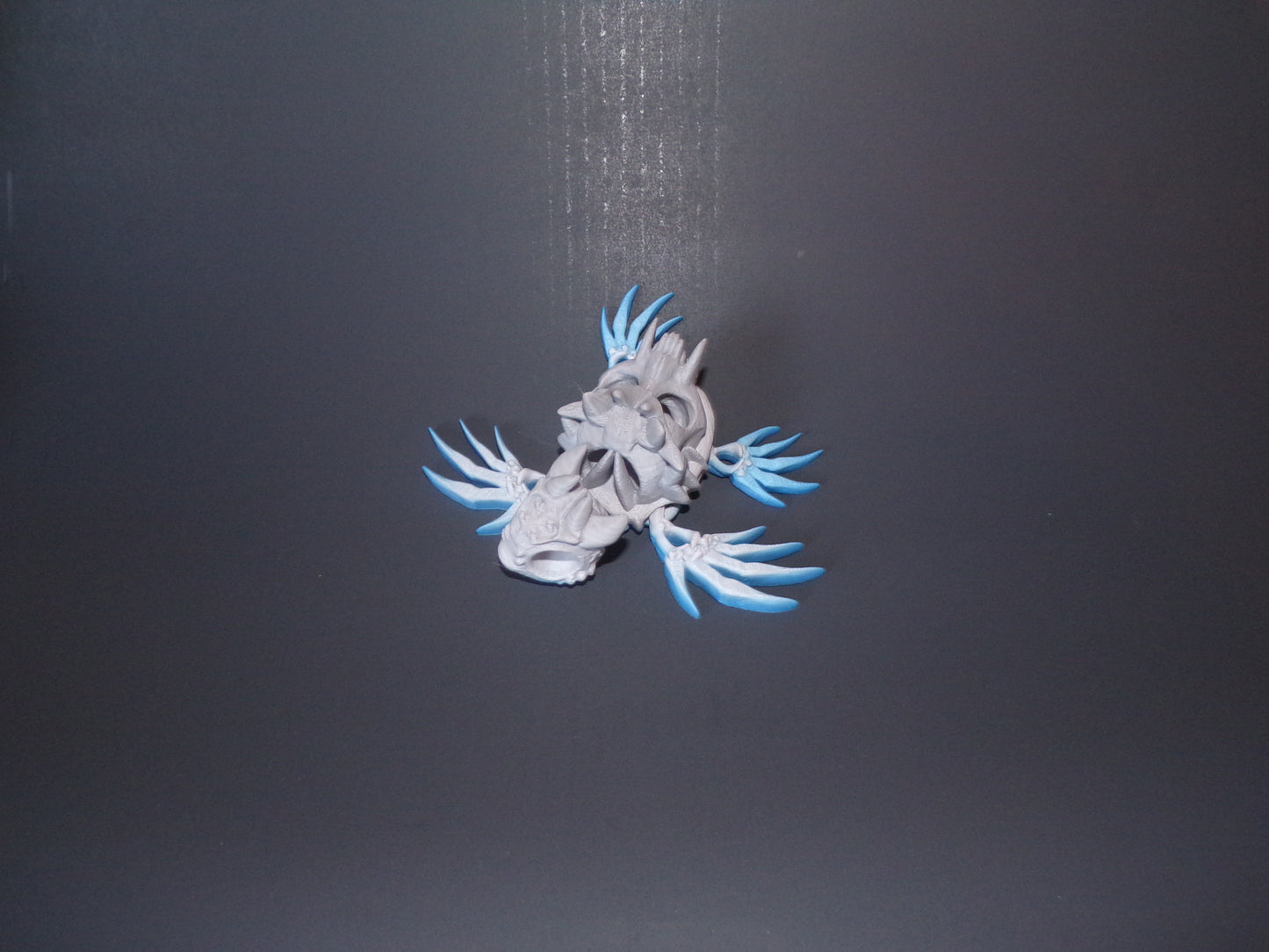 Hollow Turtle, 3D Printed Turtle - Wonderland 3D Printing