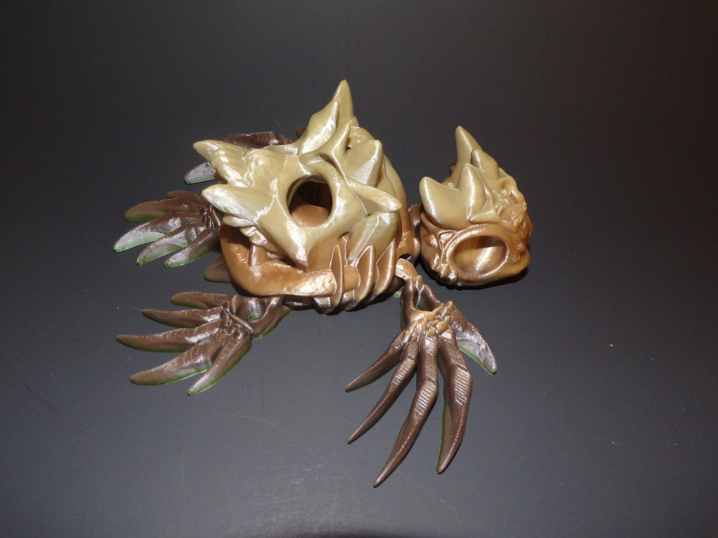 Hollow Turtle, 3D Printed Turtle - Wonderland 3D Printing
