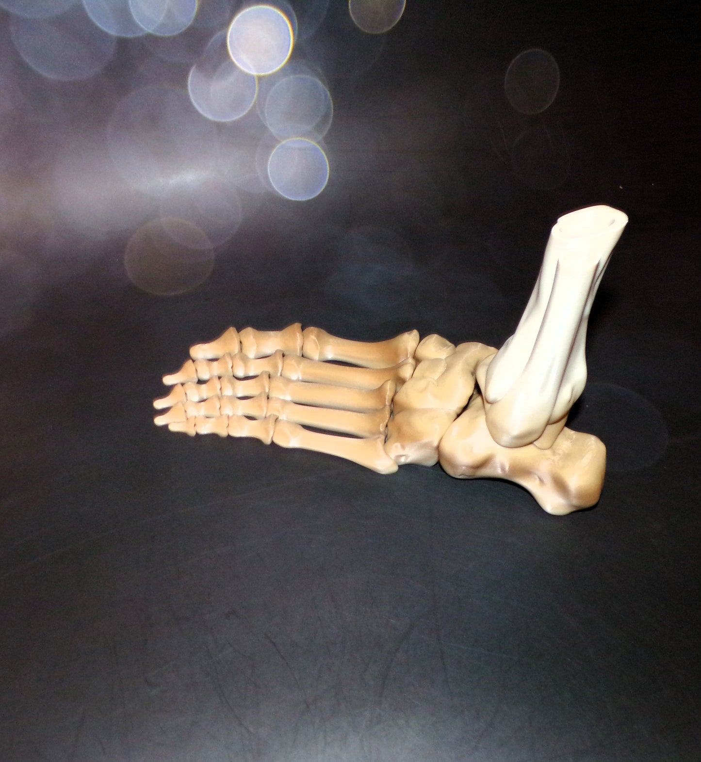 Skeleton Foot Life Size, 3D Printed Fully Articulated Skeleton Foot - Wonderland 3D Printing