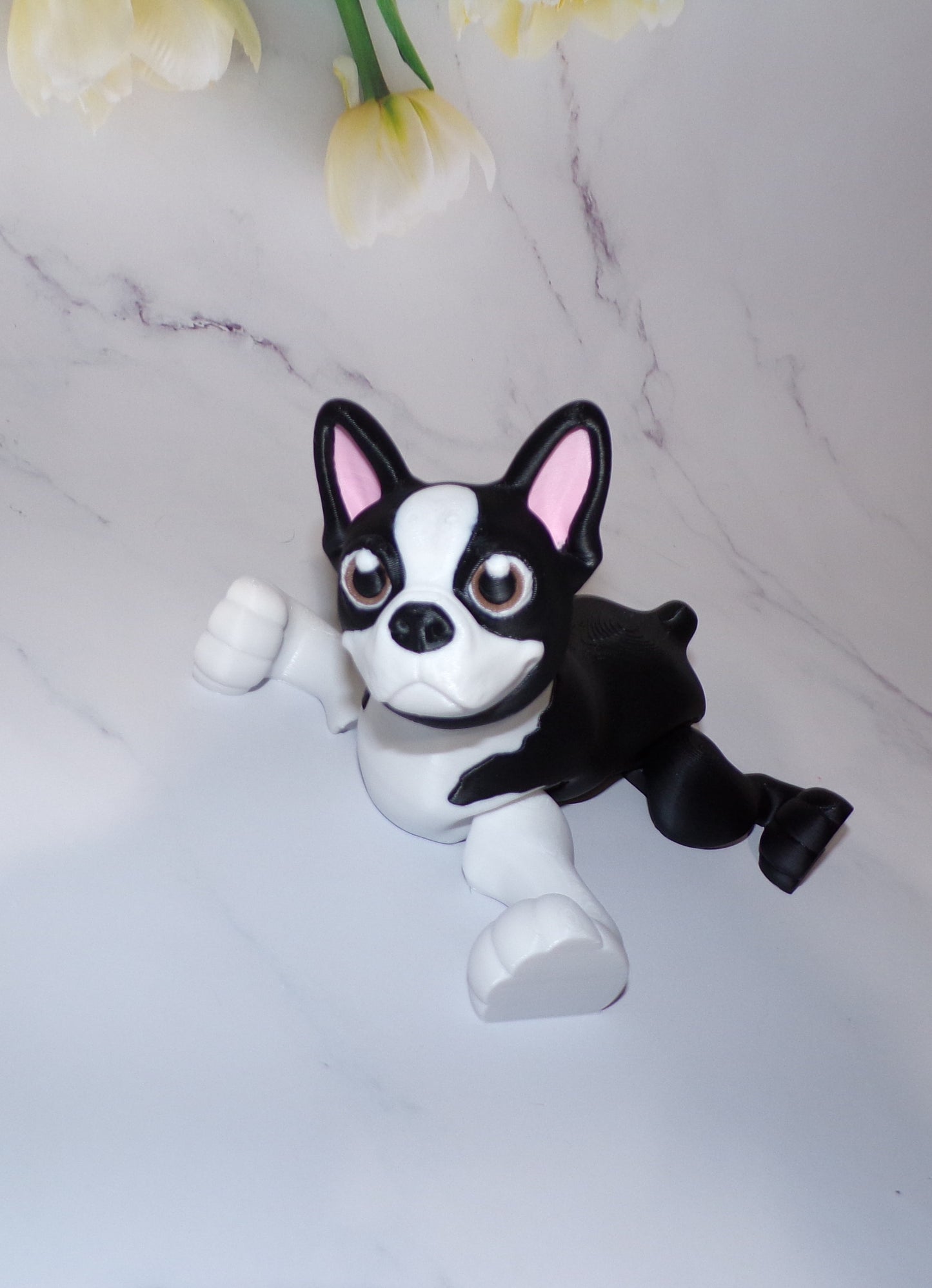 Boston Terrier 3D Printed Articulated Figurine Fidget Toy - Wonderland 3D Printing