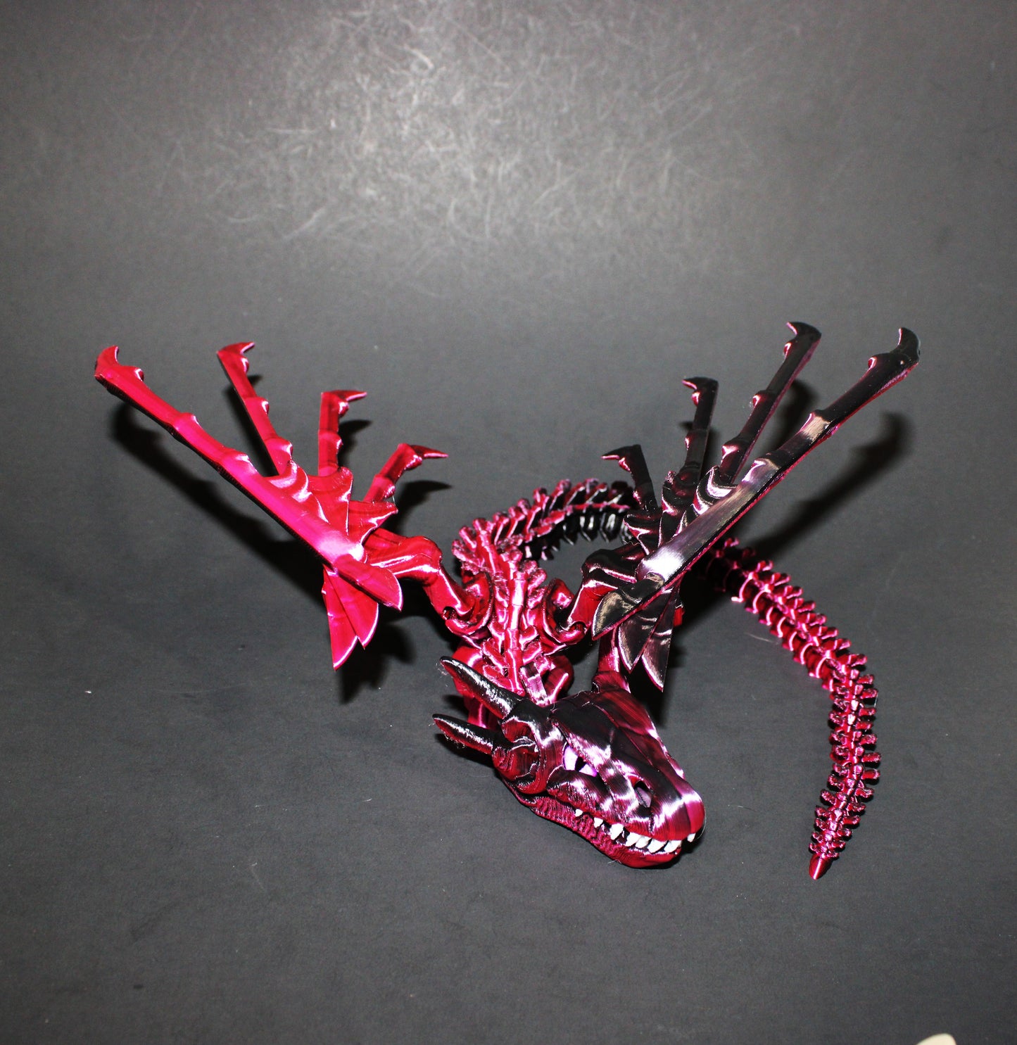 Biting Skeleton Dragon 16 inches x 16 in wingspan-3D Printed Articulated Flexi Fidget Figurine