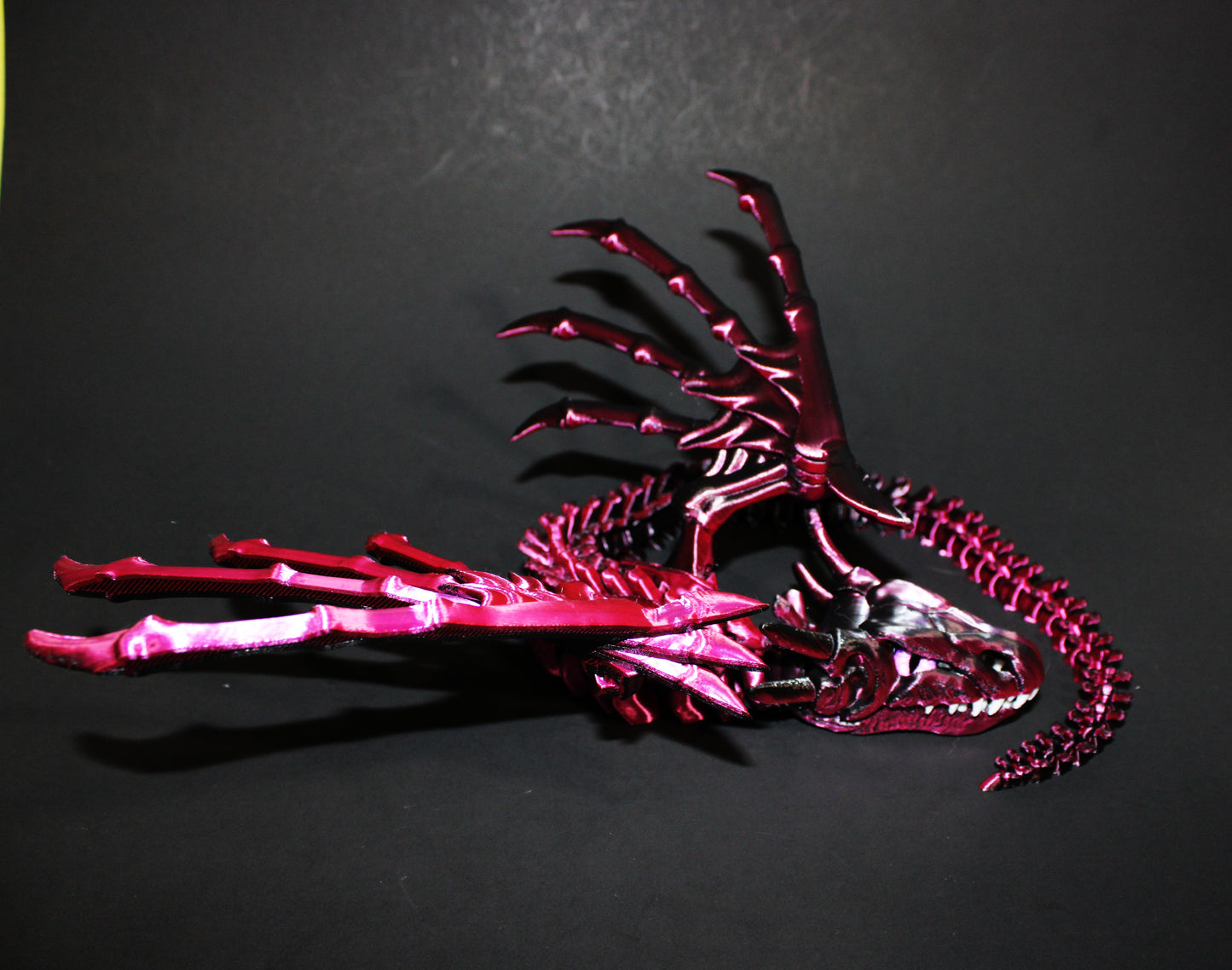 Biting Skeleton Dragon 16 inches x 16 in wingspan-3D Printed Articulated Flexi Fidget Figurine