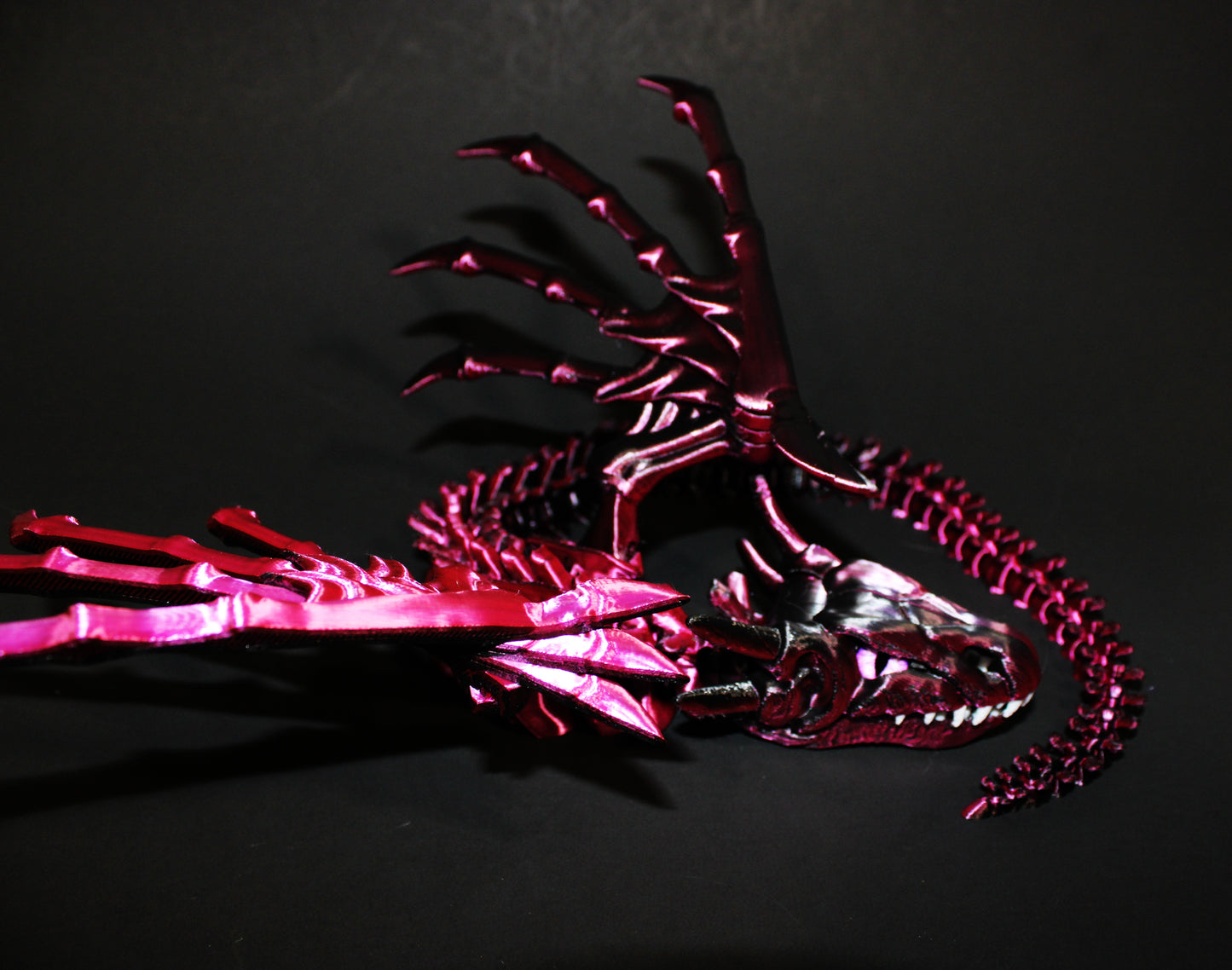 Biting Skeleton Dragon 16 inches x 16 in wingspan-3D Printed Articulated Flexi Fidget Figurine