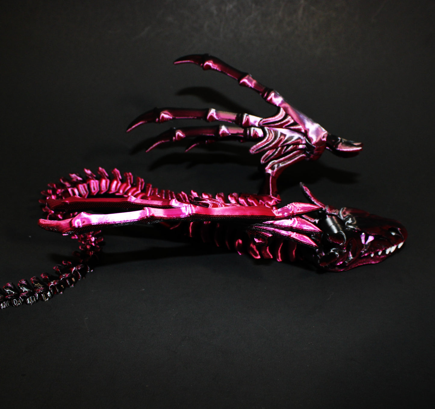 Biting Skeleton Dragon 16 inches x 16 in wingspan-3D Printed Articulated Flexi Fidget Figurine
