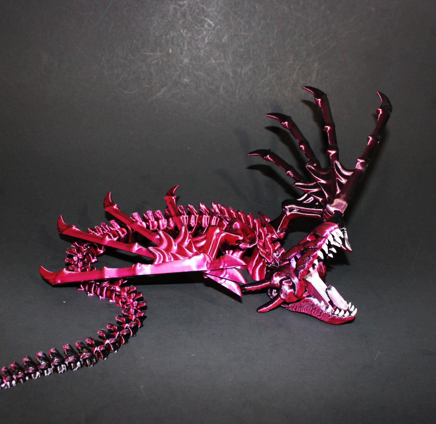 Biting Skeleton Dragon 16 inches x 16 in wingspan-3D Printed Articulated Flexi Fidget Figurine