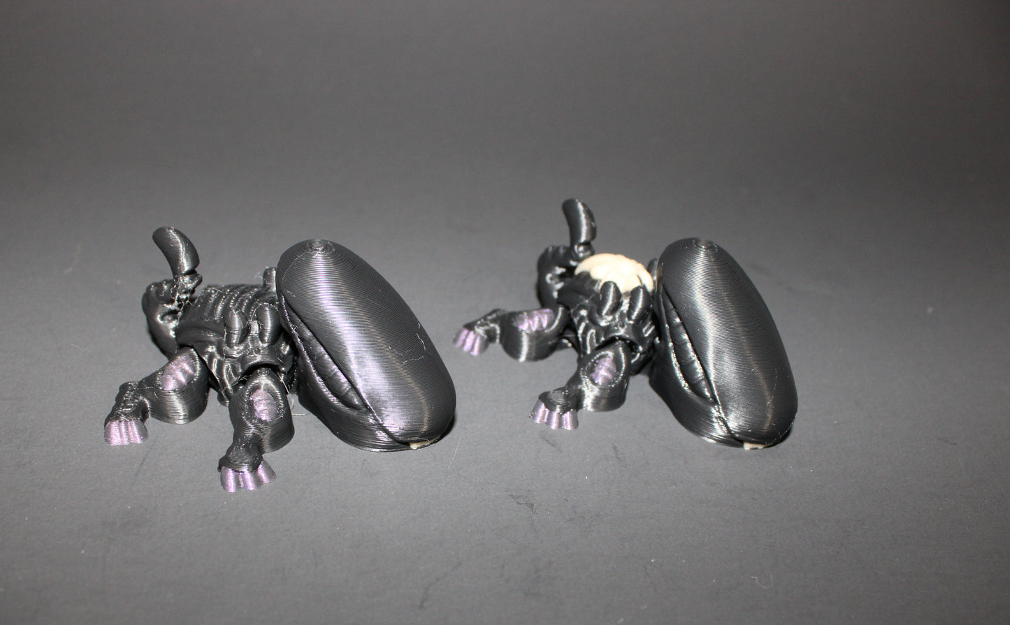 Xenoturtle- Articulated 3D Printed Flexi Fidget Toy-2.5"