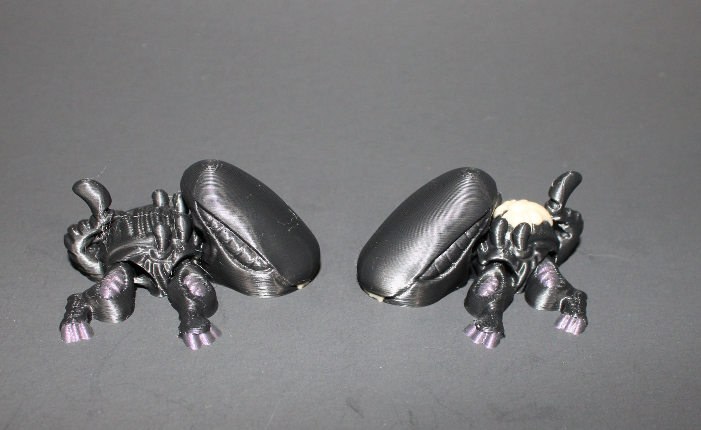 Xenoturtle- Articulated 3D Printed Flexi Fidget Toy-2.5"