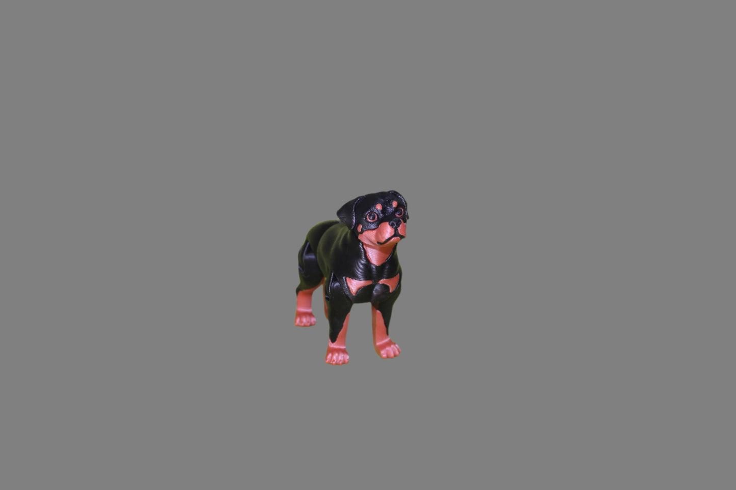 Rottweiler Dog 3D Printed Articulated Figurine - Wonderland 3D Printing