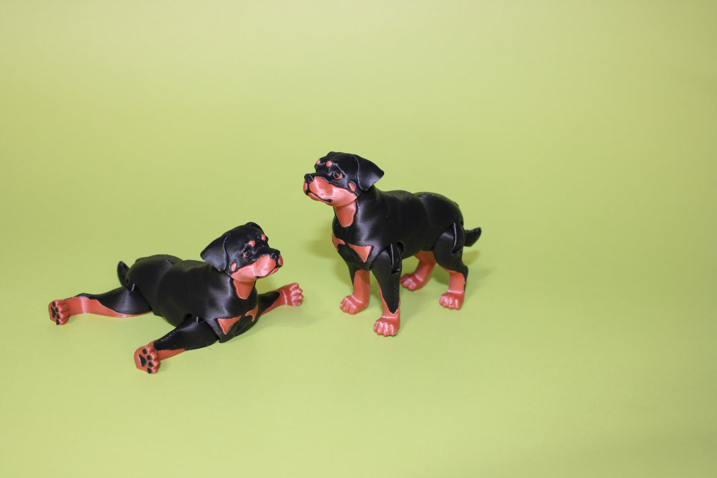 Rottweiler Dog 3D Printed Articulated Figurine - Wonderland 3D Printing