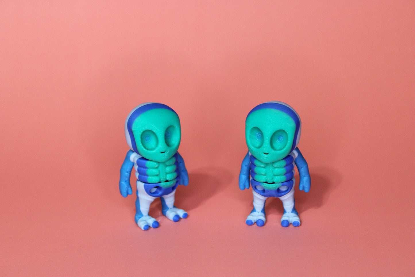 Mr. Skeleton 3D Printed Articulated Fidget Toys-Variety to Choose From!