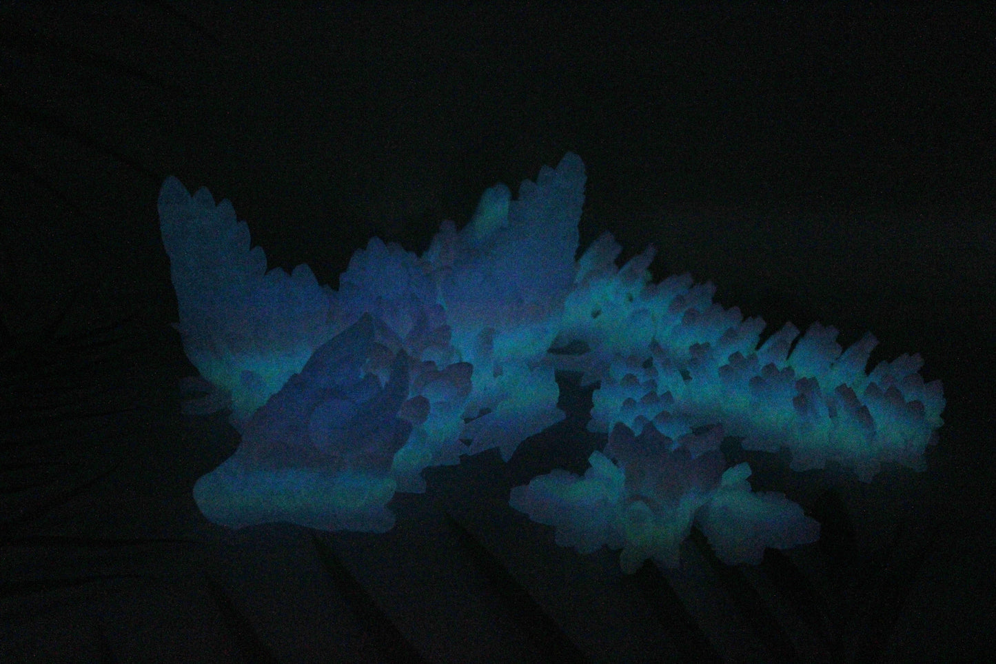 Glow in the Dark Dragons 3D Printed Articulated Figurine - Wonderland 3D Printing