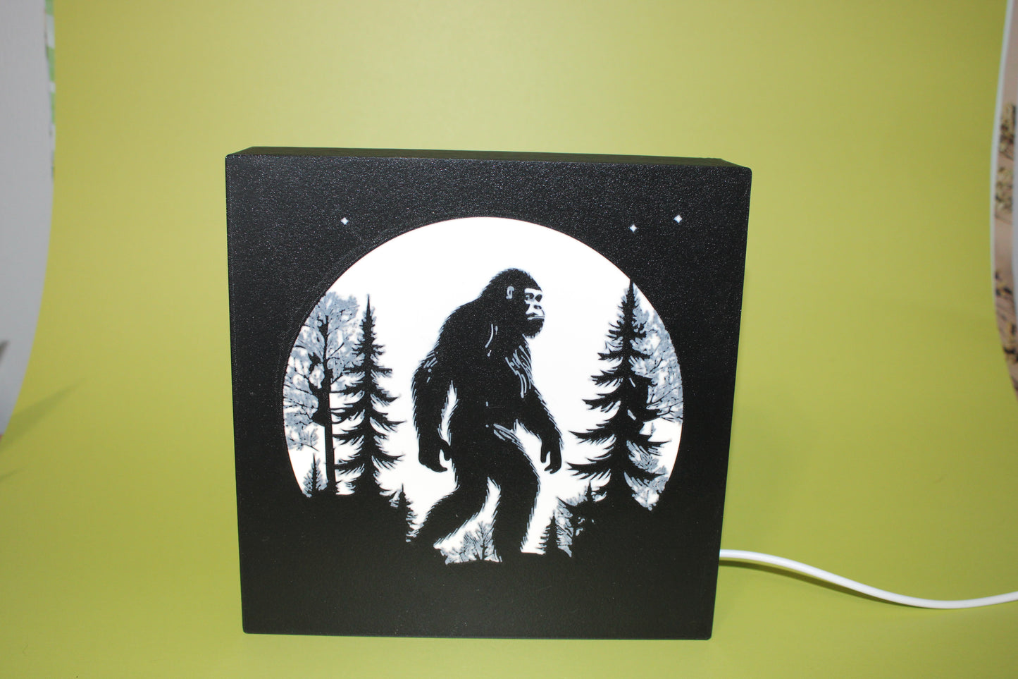 Light Boxes 3d Printed - Includes Led Light -Custom Options Available - Wonderland 3D Printing