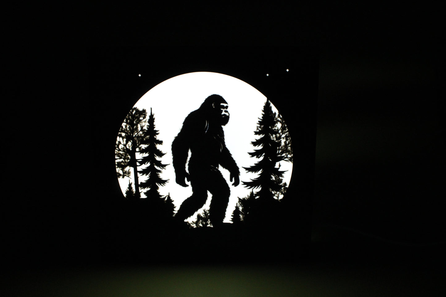 Light Boxes 3d Printed - Includes Led Light -Custom Options Available - Wonderland 3D Printing
