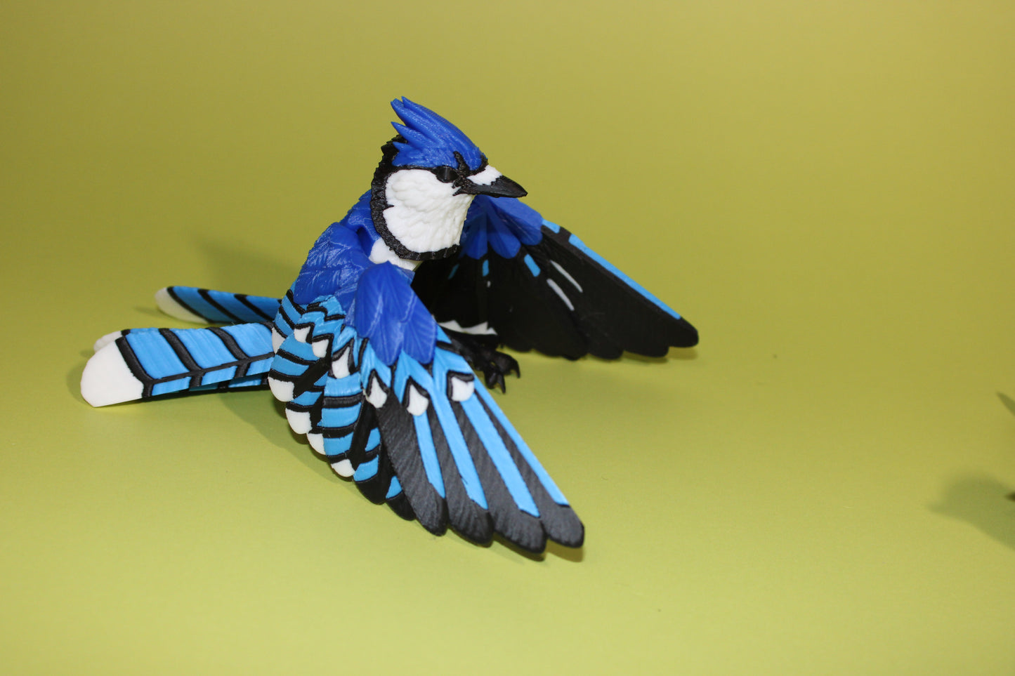 Blue Jay 5 inches x 8 in wingspan-3D Printed Articulated Flexi Fidget Figurine - Wonderland 3D Printing