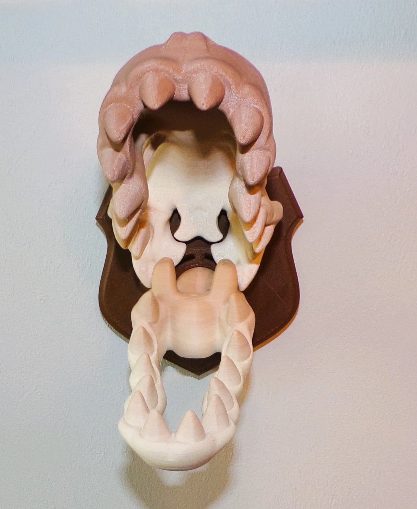 T-Rex Skull Plaque: 3D Printed - Wonderland 3D Printing