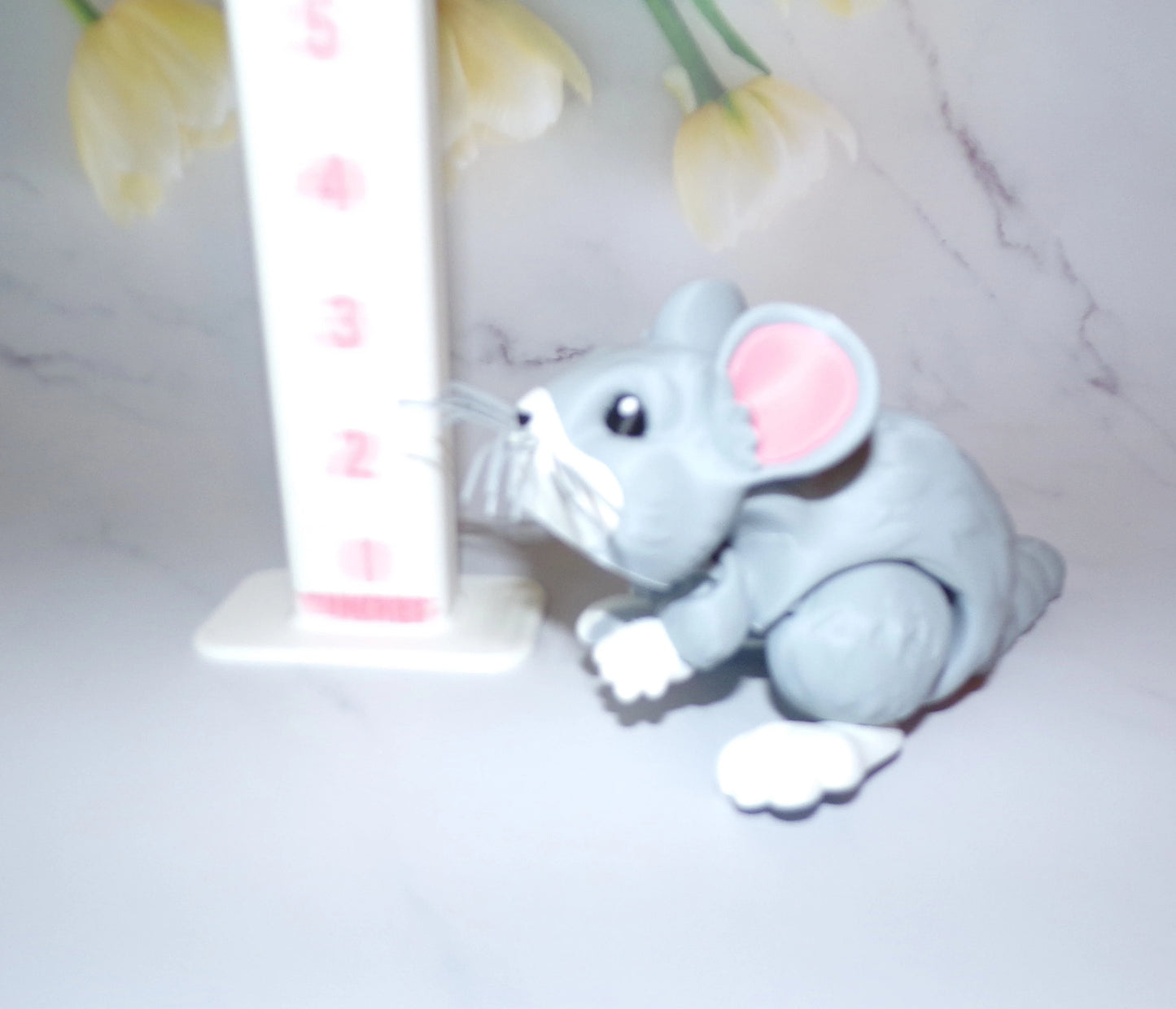 Chinchilla - Wonderland 3D Printing
