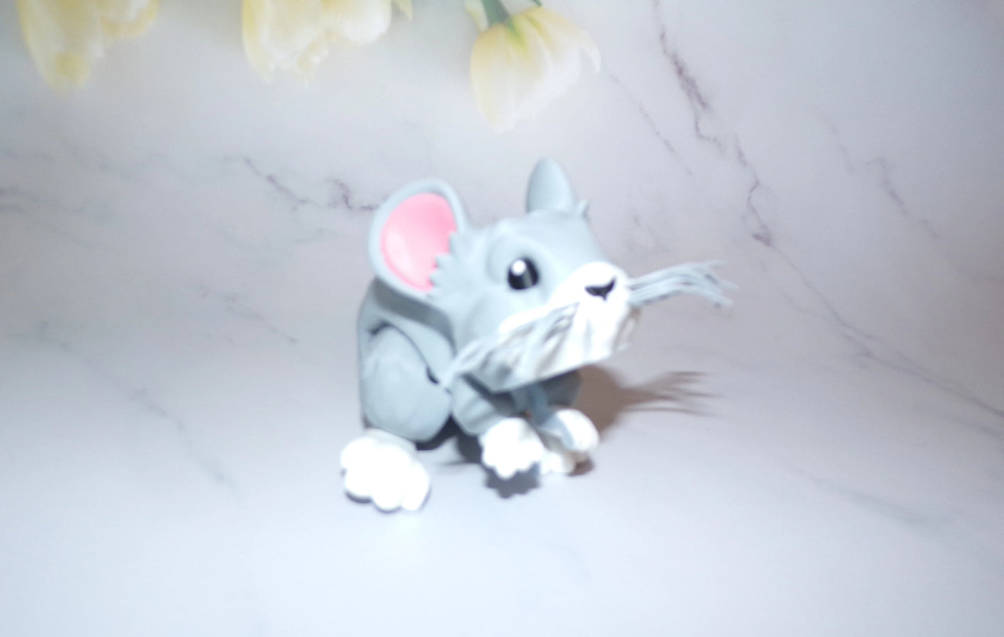 Chinchilla - Wonderland 3D Printing