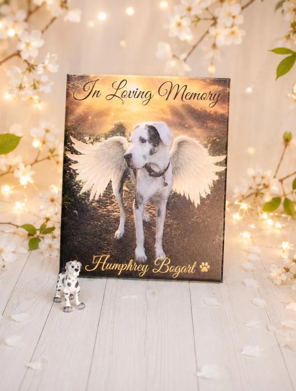 Personalized Pet Photo Canvas 4x6, 8x10 or 11x14, Raised UV Resin Print Options, Custom Picture Gift- Memorial Canvas Art - Wonderland 3D Printing