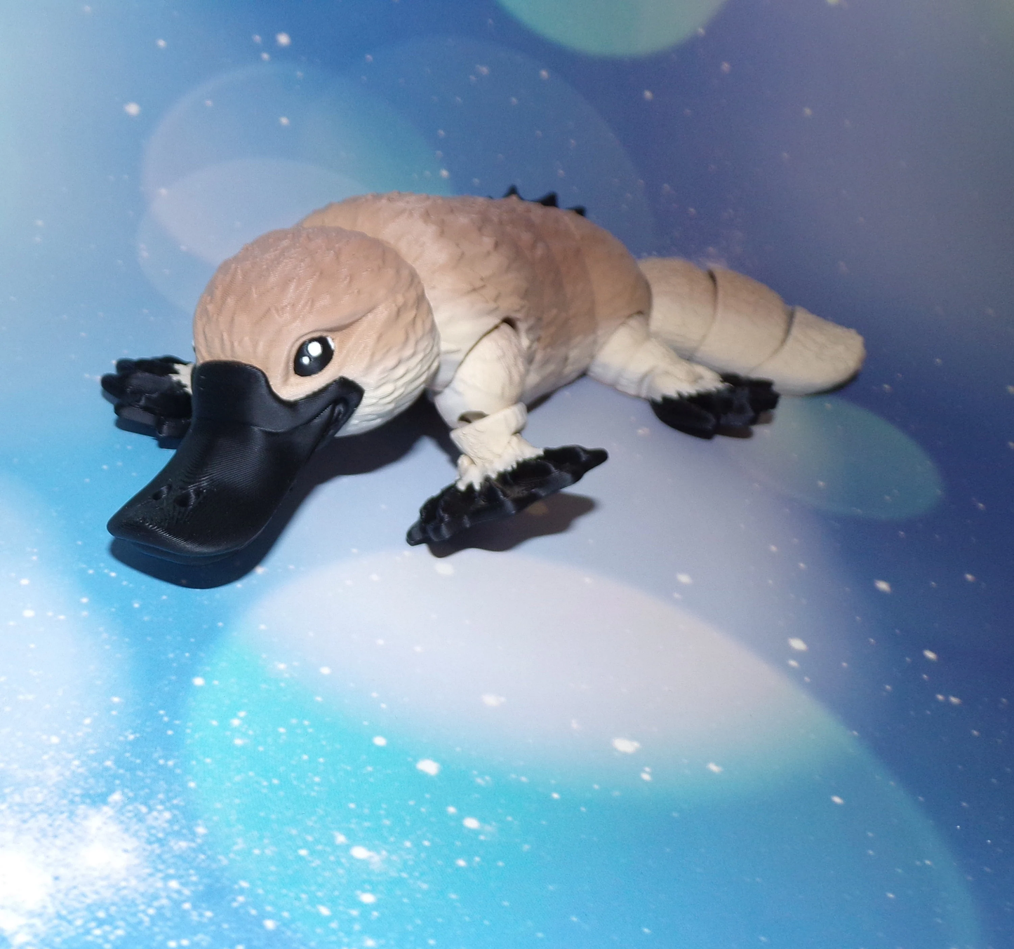 Platypus: 3D Printed - Wonderland 3D Printing