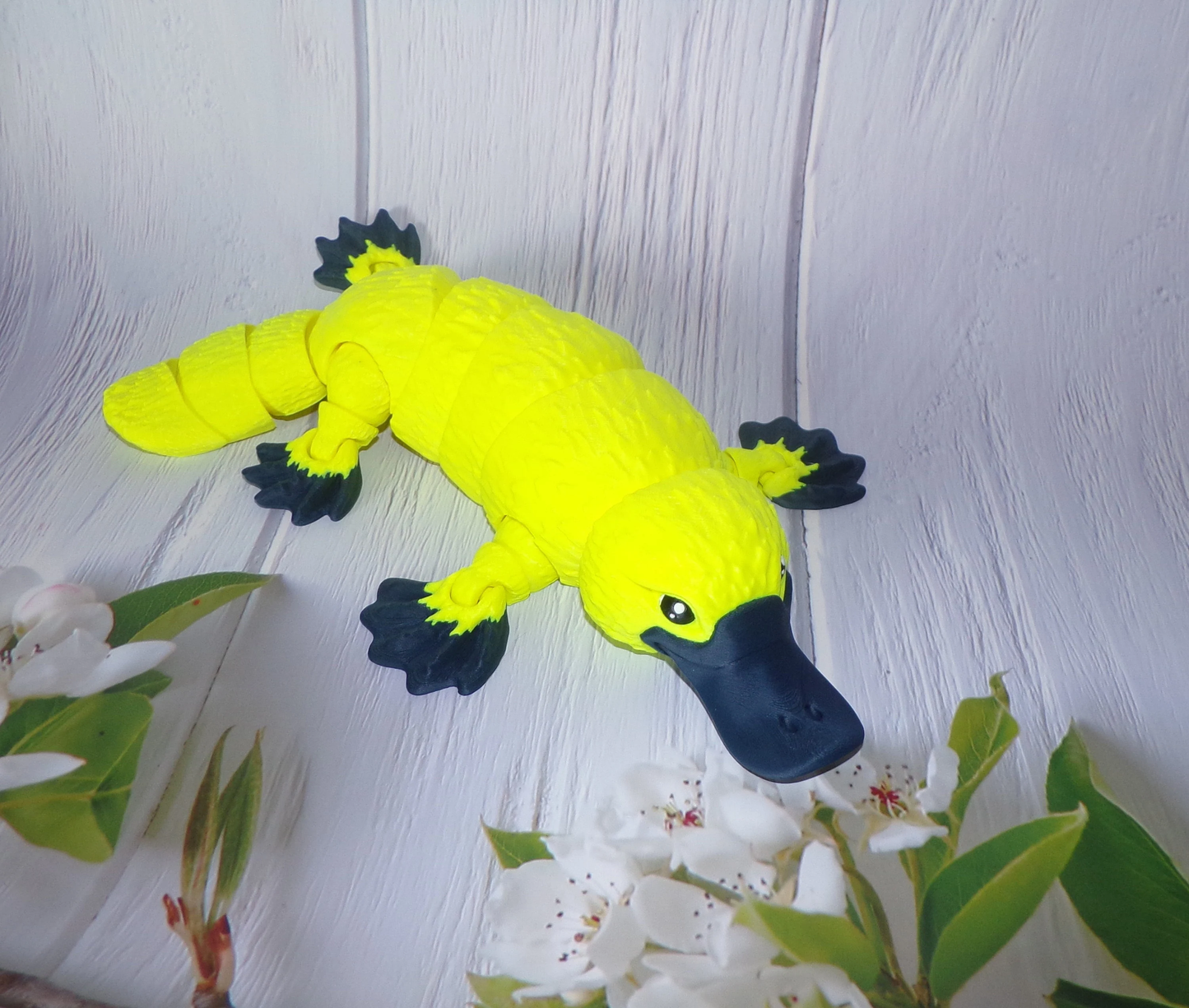 Platypus: 3D Printed - Wonderland 3D Printing