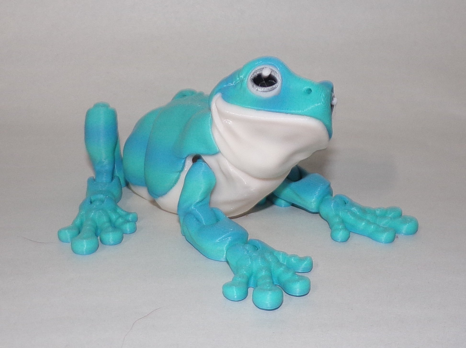 Whites Tree Frog 3D Printed Articulated Figurine - Wonderland 3D Printing 