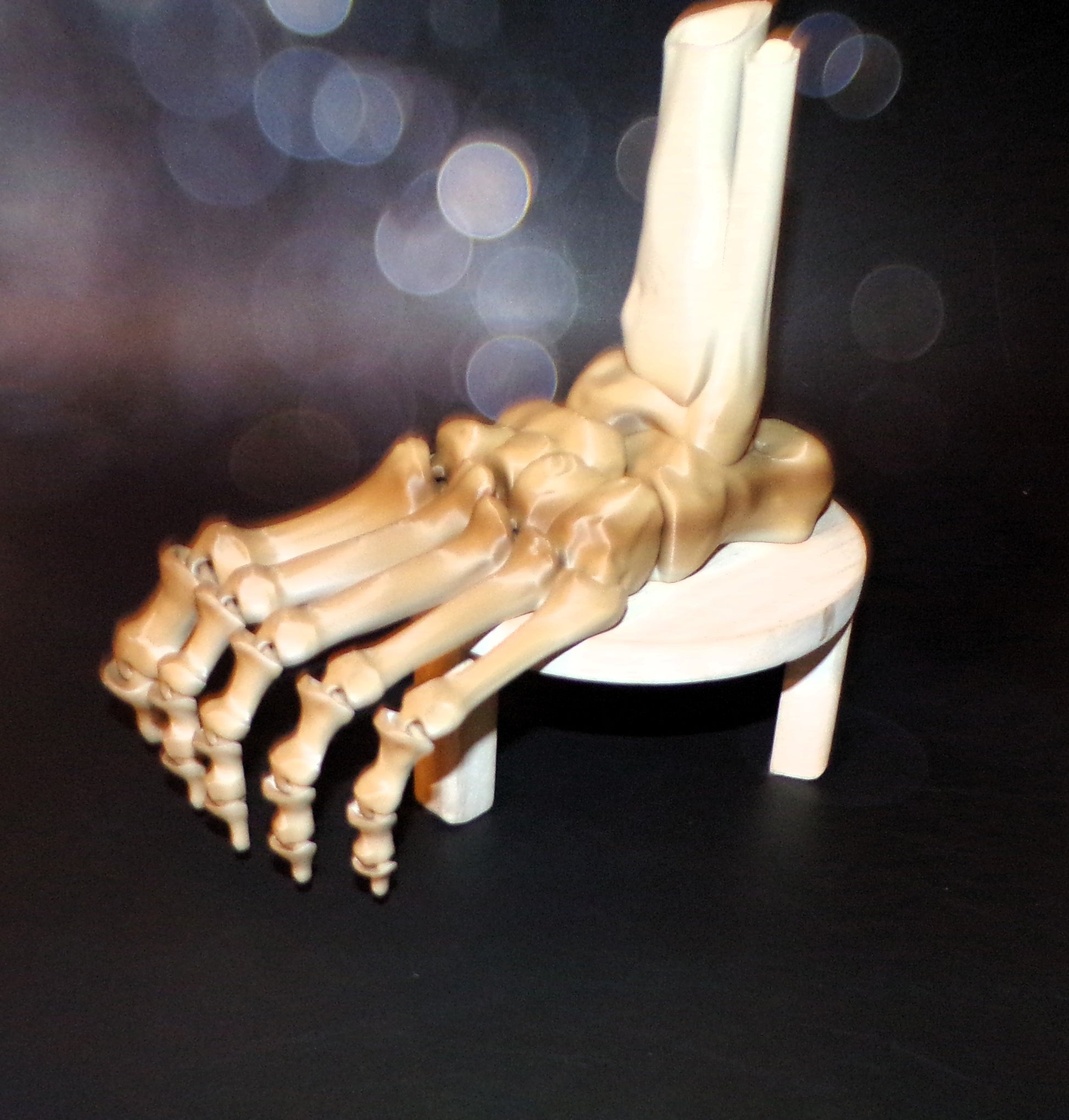 Skeleton Foot Life Size, 3D Printed Fully Articulated Skeleton Foot - Wonderland 3D Printing 