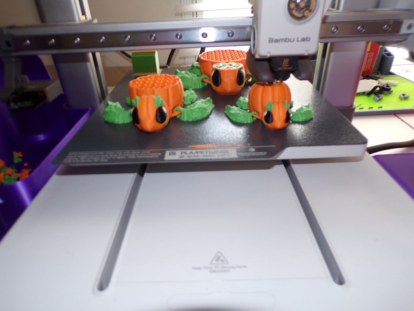 Pumpkin Turtle - Wonderland 3D Printing 