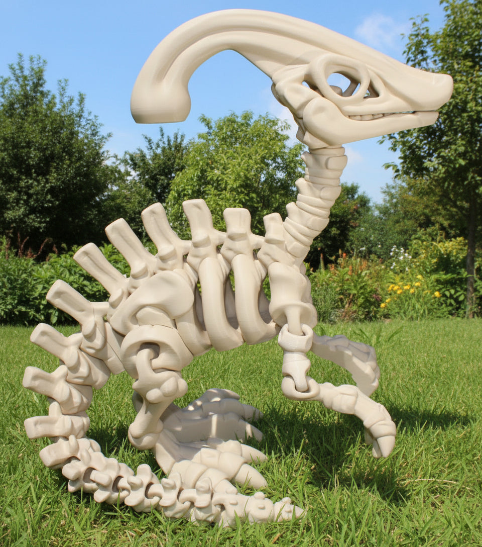 XXL Skeleton Dinosaurs-3d printed Articulated - Wonderland 3D Printing 