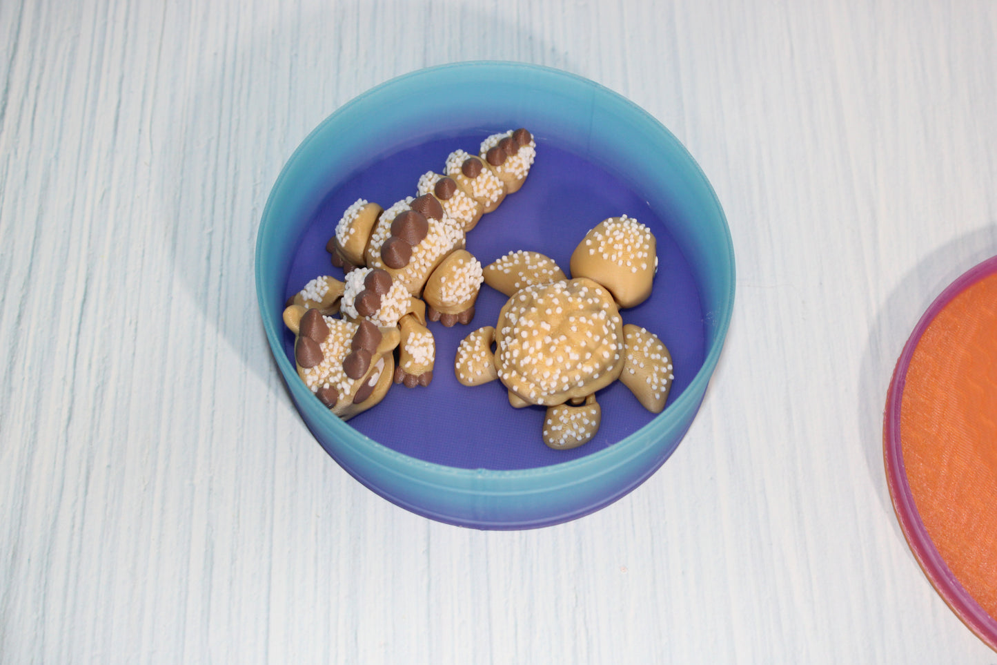 Cookie Dragon and  Turtle Articulated 3d Printed Figurine with Container - Wonderland 3D Printing 