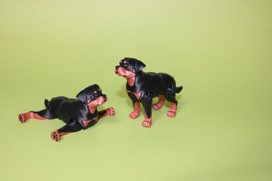 Rottweiler Dog 3D Printed Articulated Figurine - Wonderland 3D Printing 