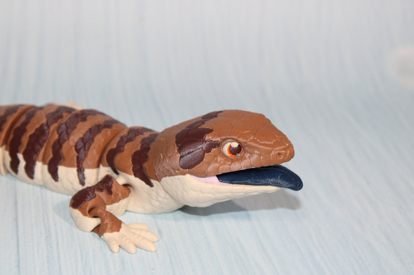 Blue Tongue Skink 3D Printed Articulated Flexi Fidget Figurine 10"Long - Wonderland 3D Printing 