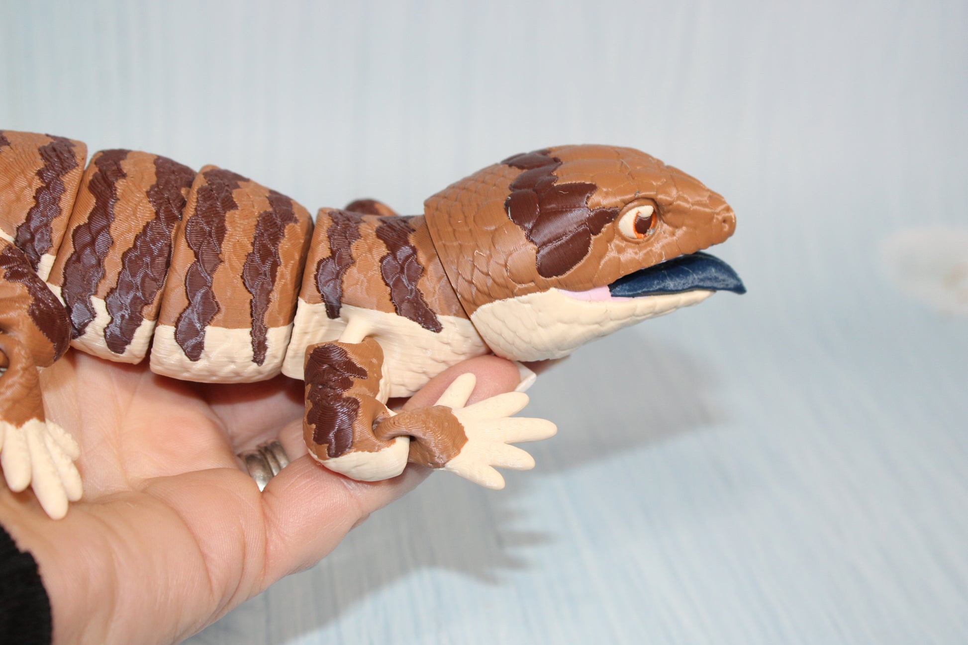 Blue Tongue Skink 3D Printed Articulated Flexi Fidget Figurine 10"Long - Wonderland 3D Printing 