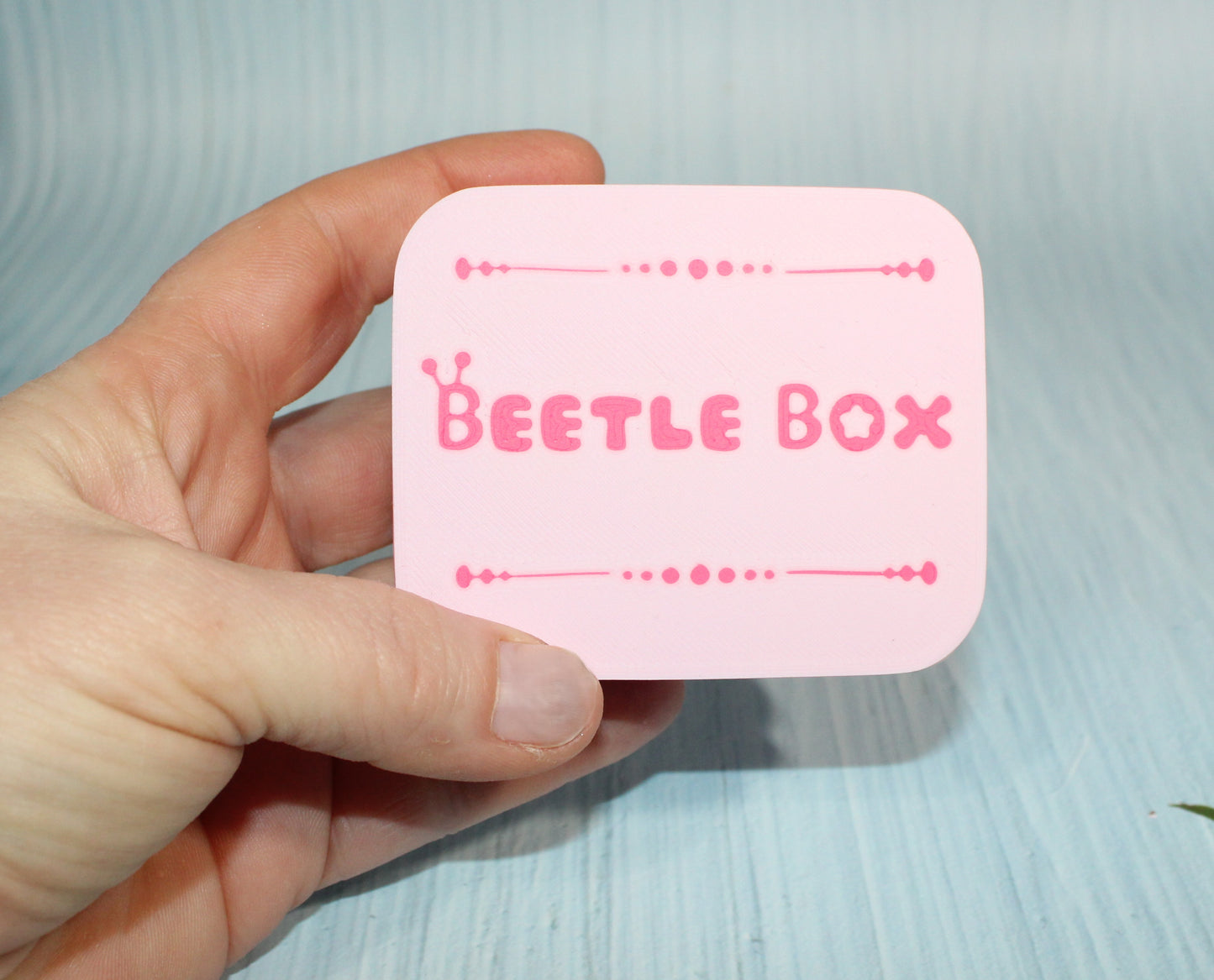 3D Printed Beetle Box 3" comes with 2 beetles - Wonderland 3D Printing 