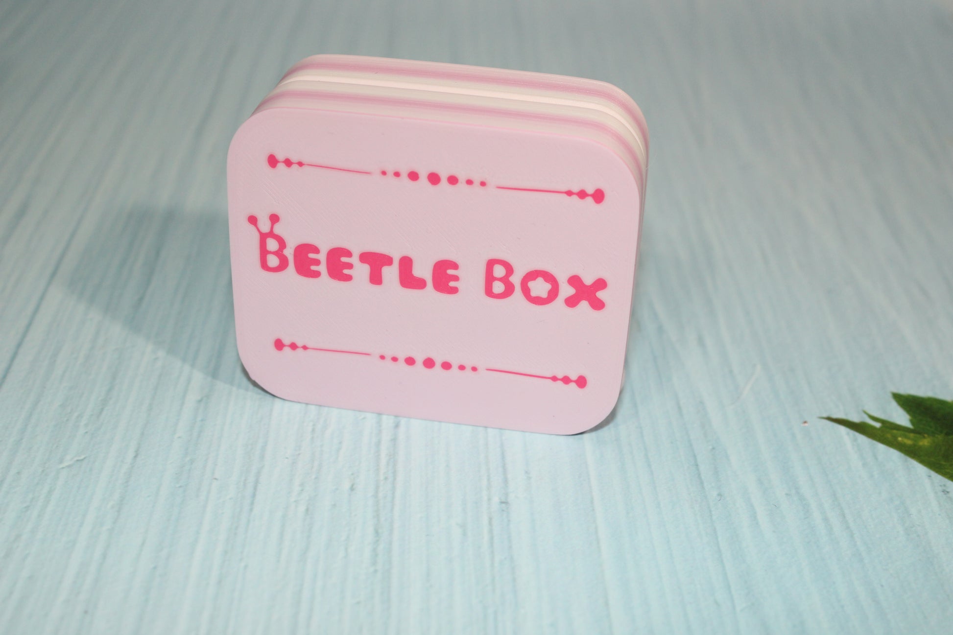 3D Printed Beetle Box 3" comes with 2 beetles - Wonderland 3D Printing 