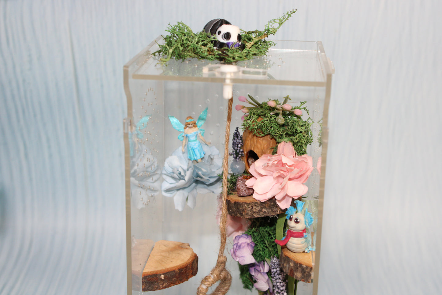 Spider Enclosure 8" x4" x 4" - Wonderland 3D Printing 
