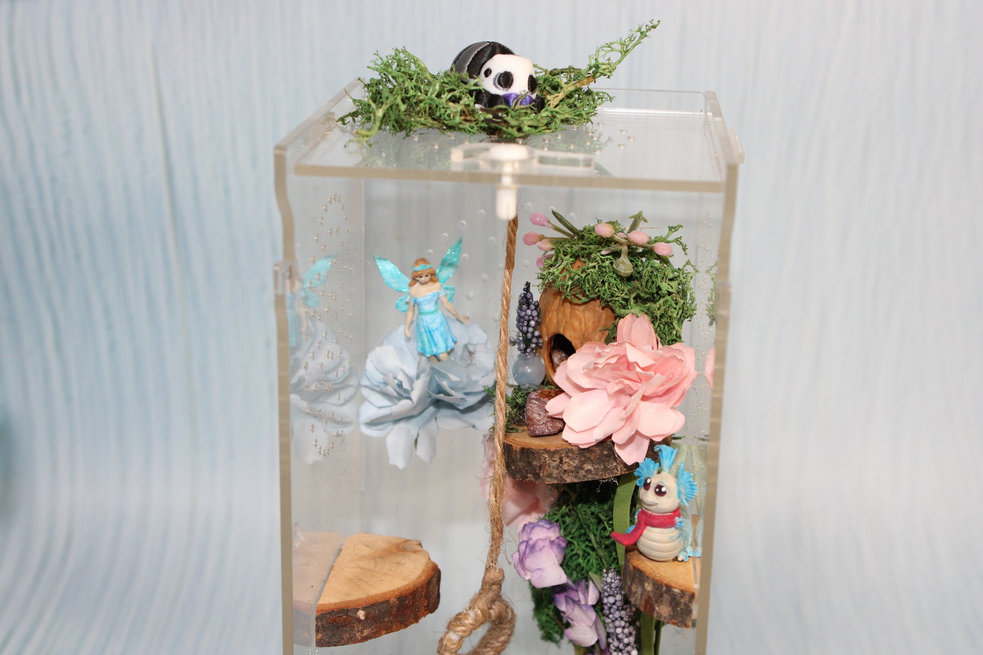 Spider Enclosure 8" x4" x 4" - Wonderland 3D Printing 