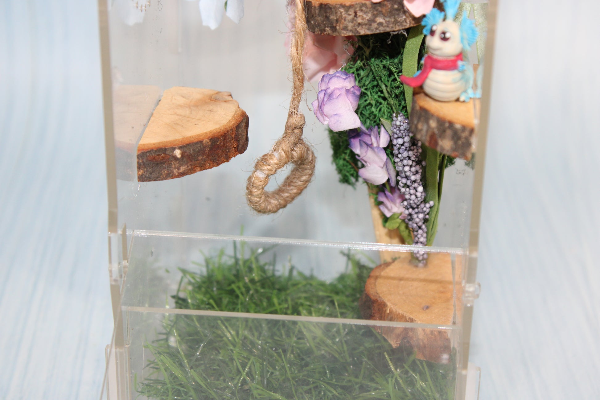 Spider Enclosure 8" x4" x 4" - Wonderland 3D Printing 
