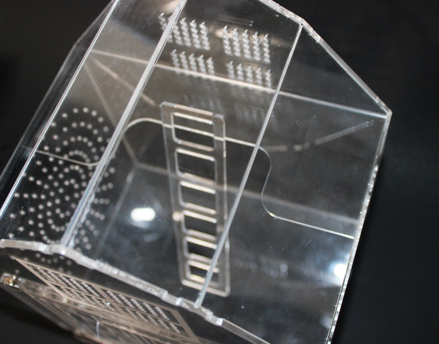 Custom Jumping Spider Enclosure Barn 10x8x6" - Wonderland 3D Printing 