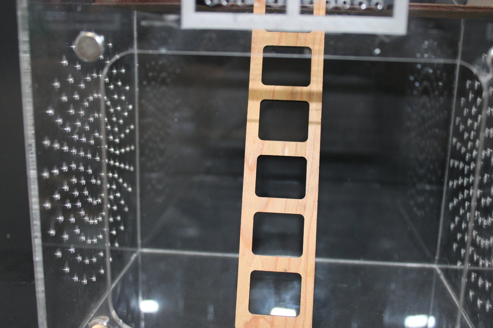 Custom Jumping Spider Enclosure Barn 10x8x6" - Wonderland 3D Printing 