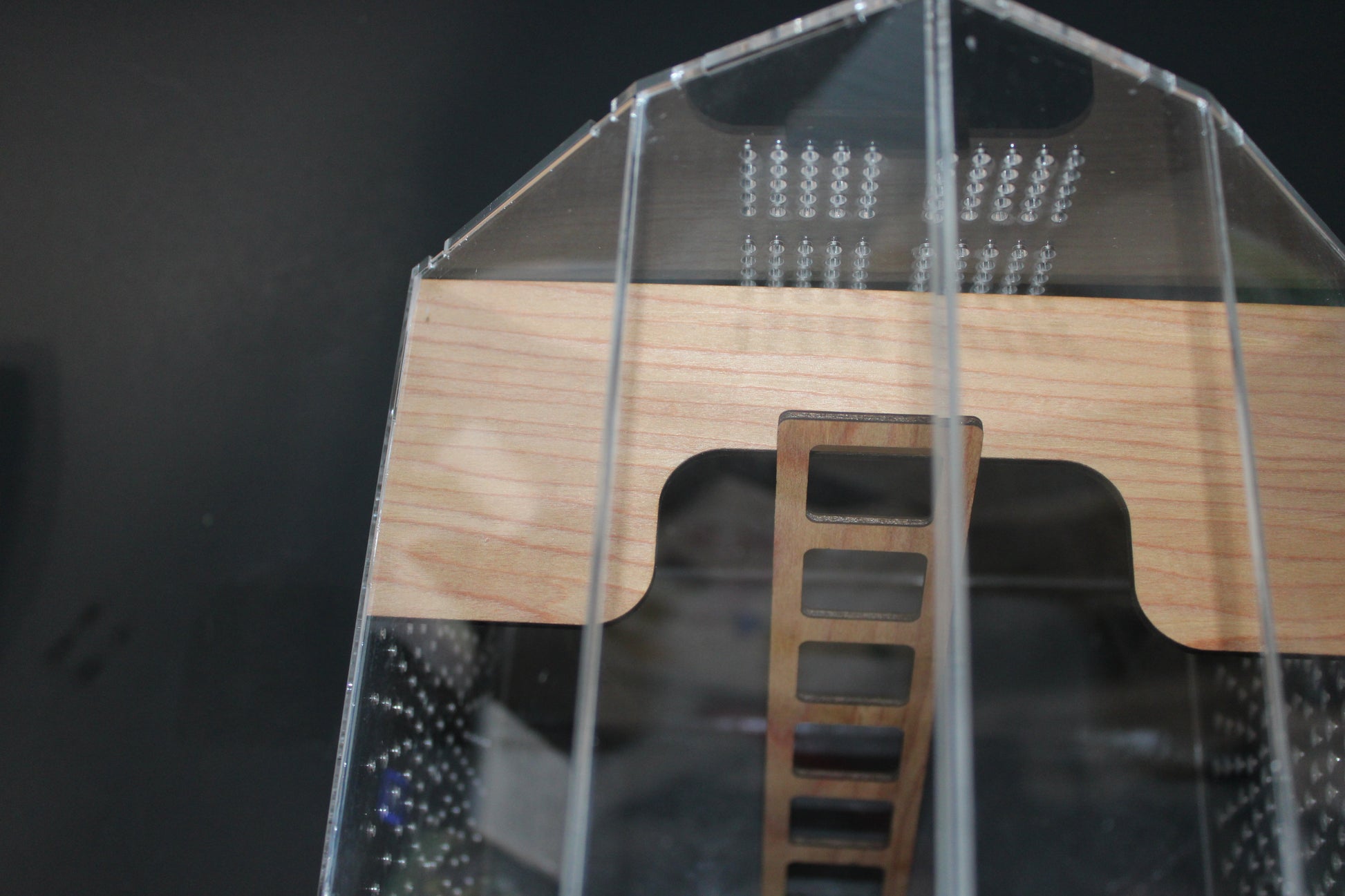 Custom Jumping Spider Enclosure Barn 10x8x6" - Wonderland 3D Printing 