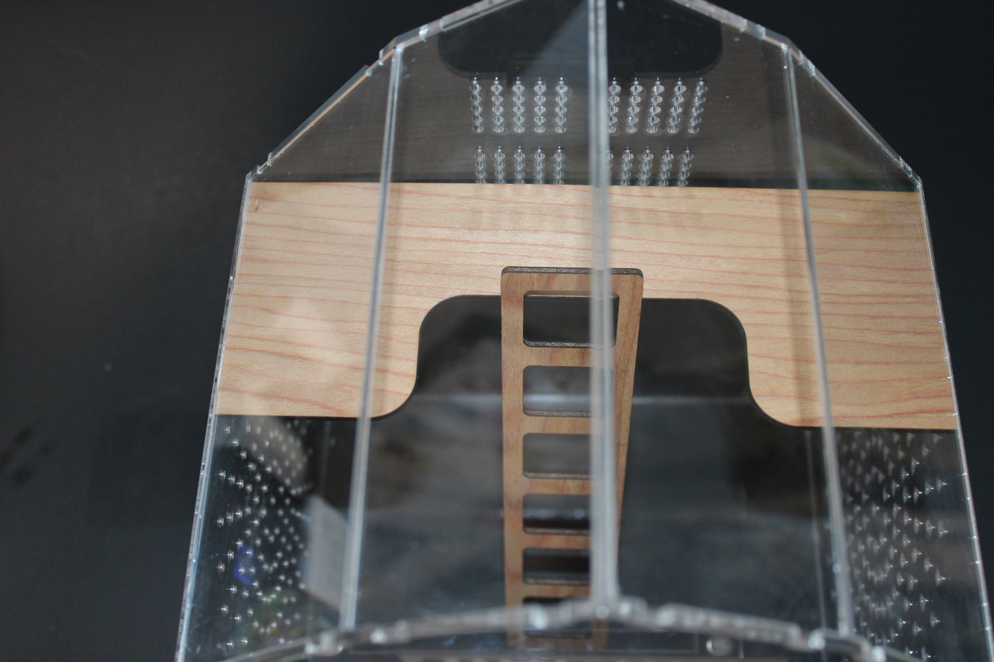Custom Jumping Spider Enclosure Barn 10x8x6" - Wonderland 3D Printing 