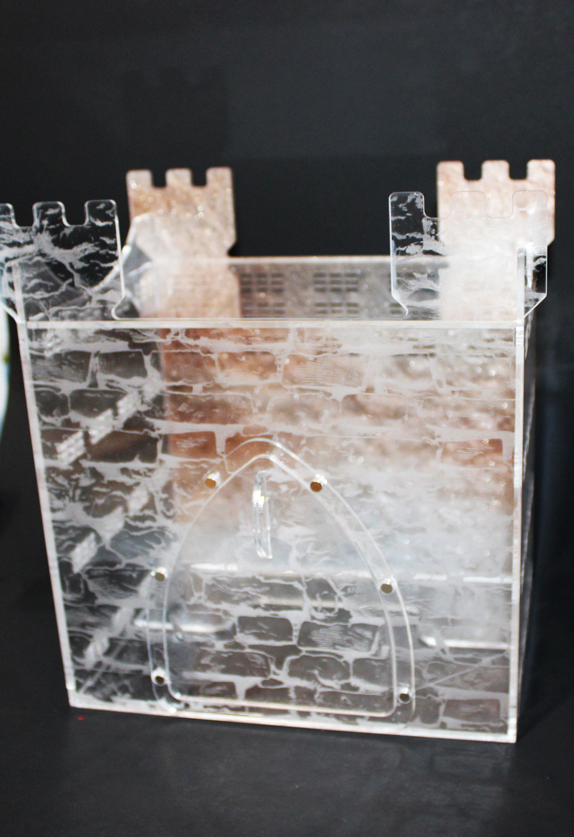 Custom Jumping Spider Enclosure Castle 9x8x6" - Wonderland 3D Printing 