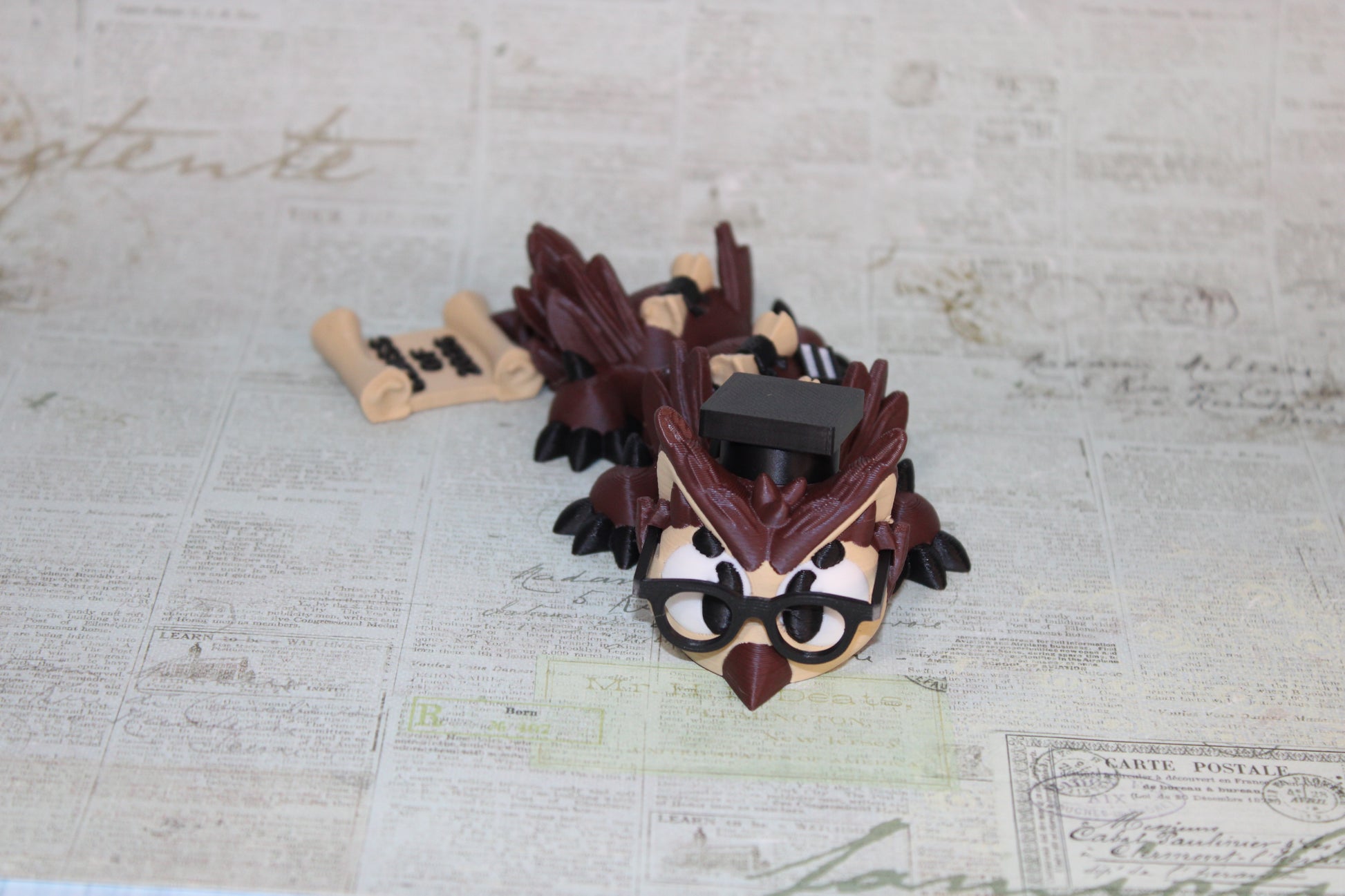 Graduation Owl Dragon 3D Printed Articulated Figurine-7" - Wonderland 3D Printing 