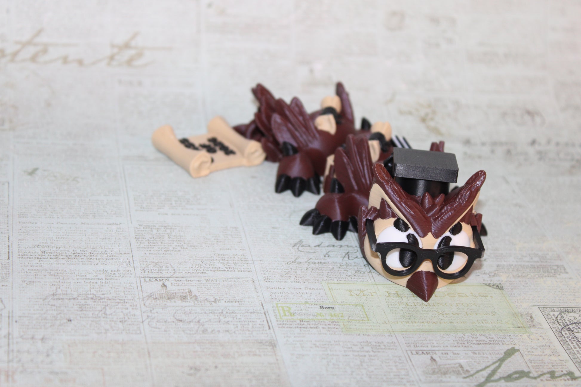 Graduation Owl Dragon 3D Printed Articulated Figurine-7" - Wonderland 3D Printing 