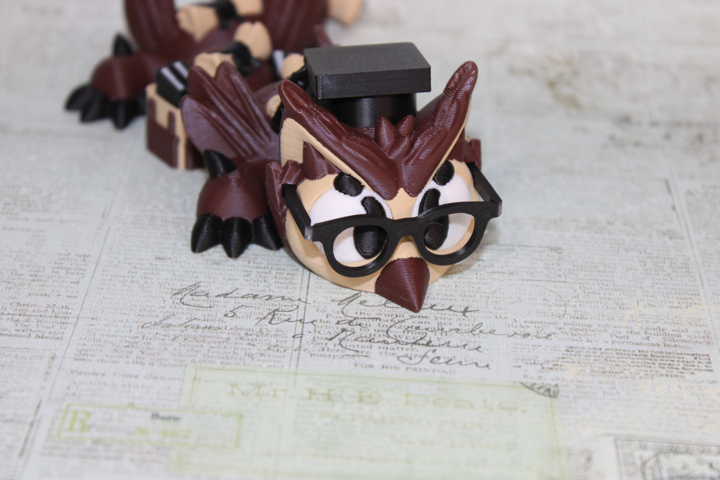 Graduation Owl Dragon 3D Printed Articulated Figurine-7" - Wonderland 3D Printing 